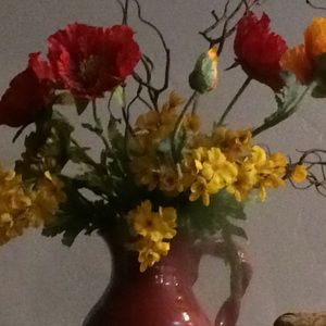 Meet your Posher, Lana